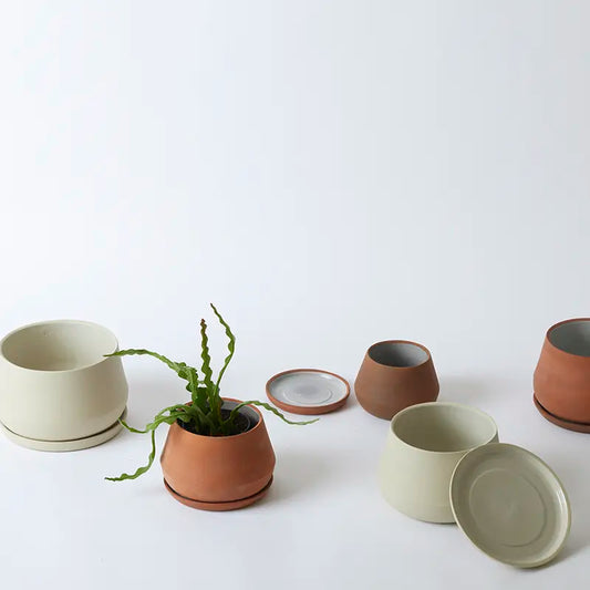 Rancho Planter