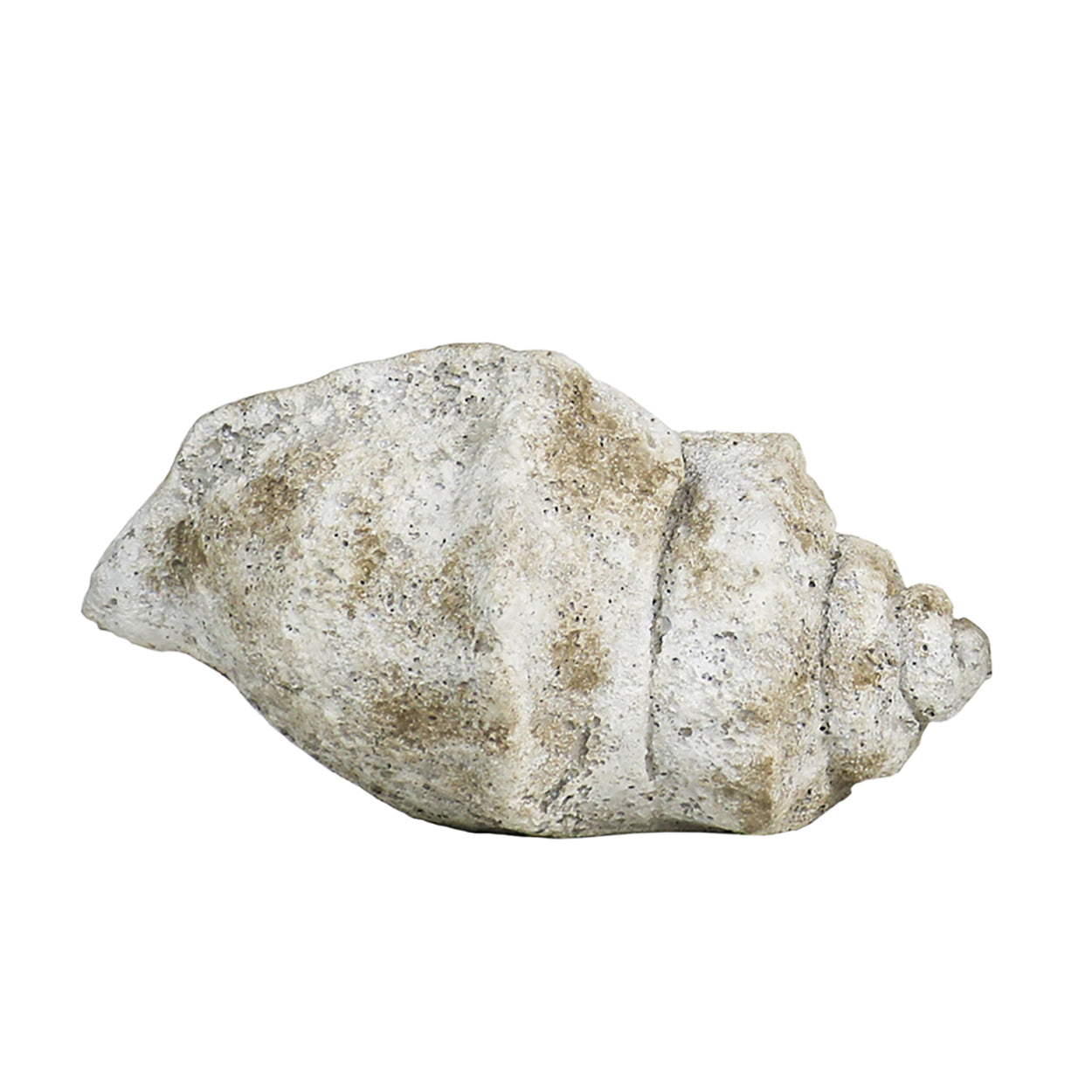 Cast Concrete Conch Shell Planter | 2 Sizes