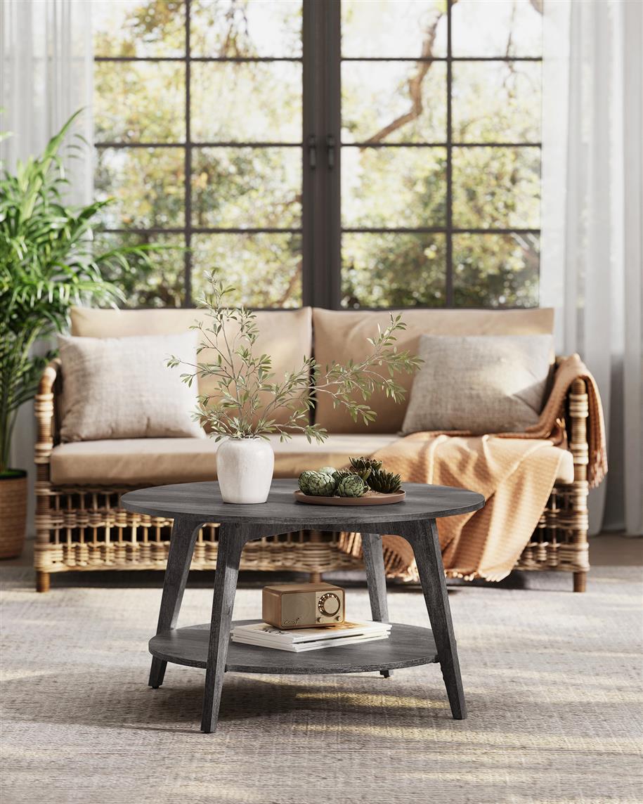 2 Tier Coffee Table with Storage
