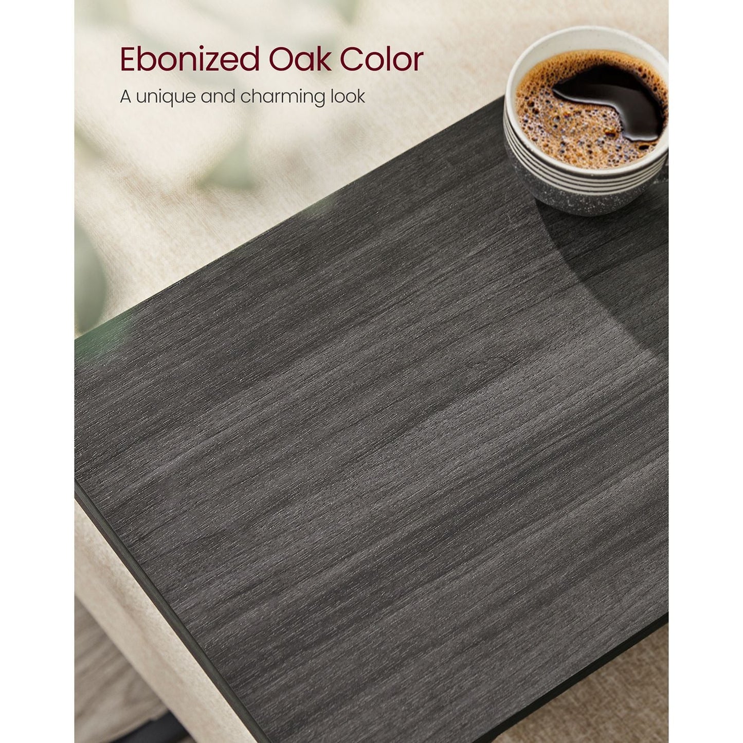 Set of 2 C-Shaped End Table