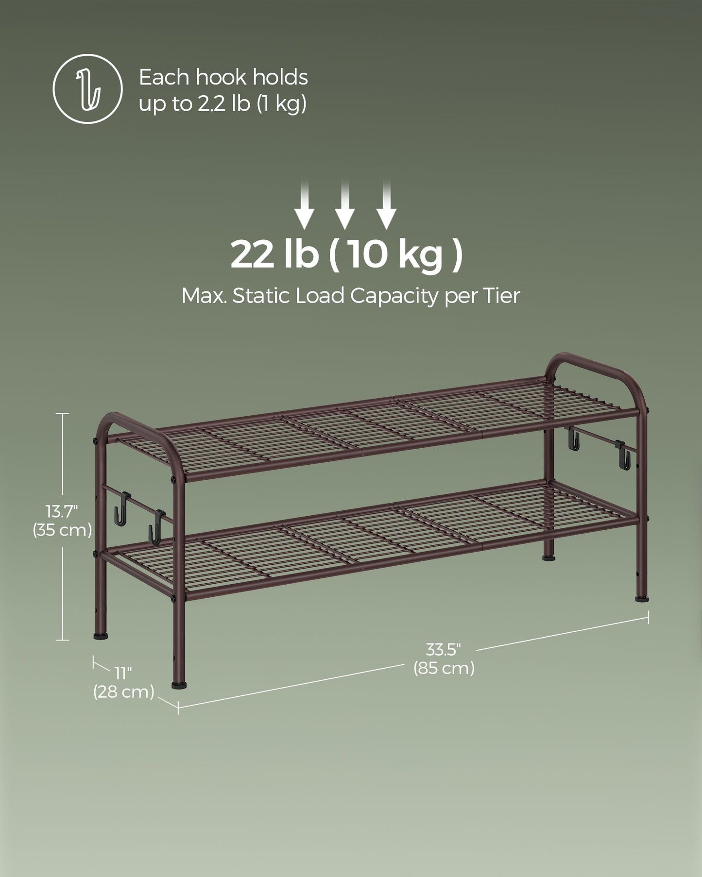 2-Tier Shoe Rack with 4 Side Hooks, Holds 10 Pairs of Shoes