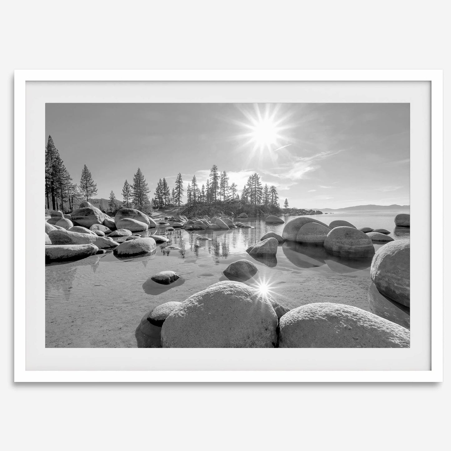 Rocky Tahoe