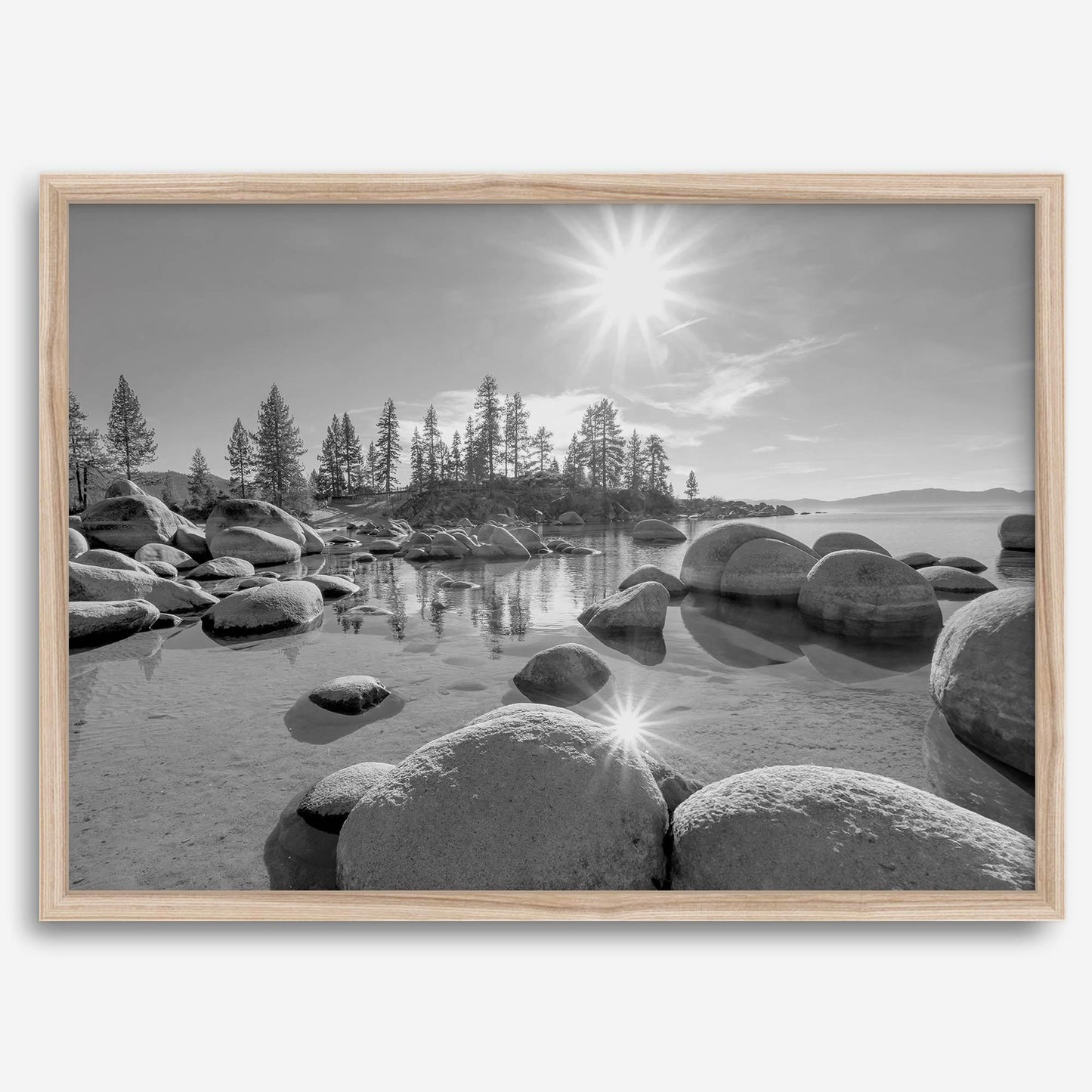 Rocky Tahoe