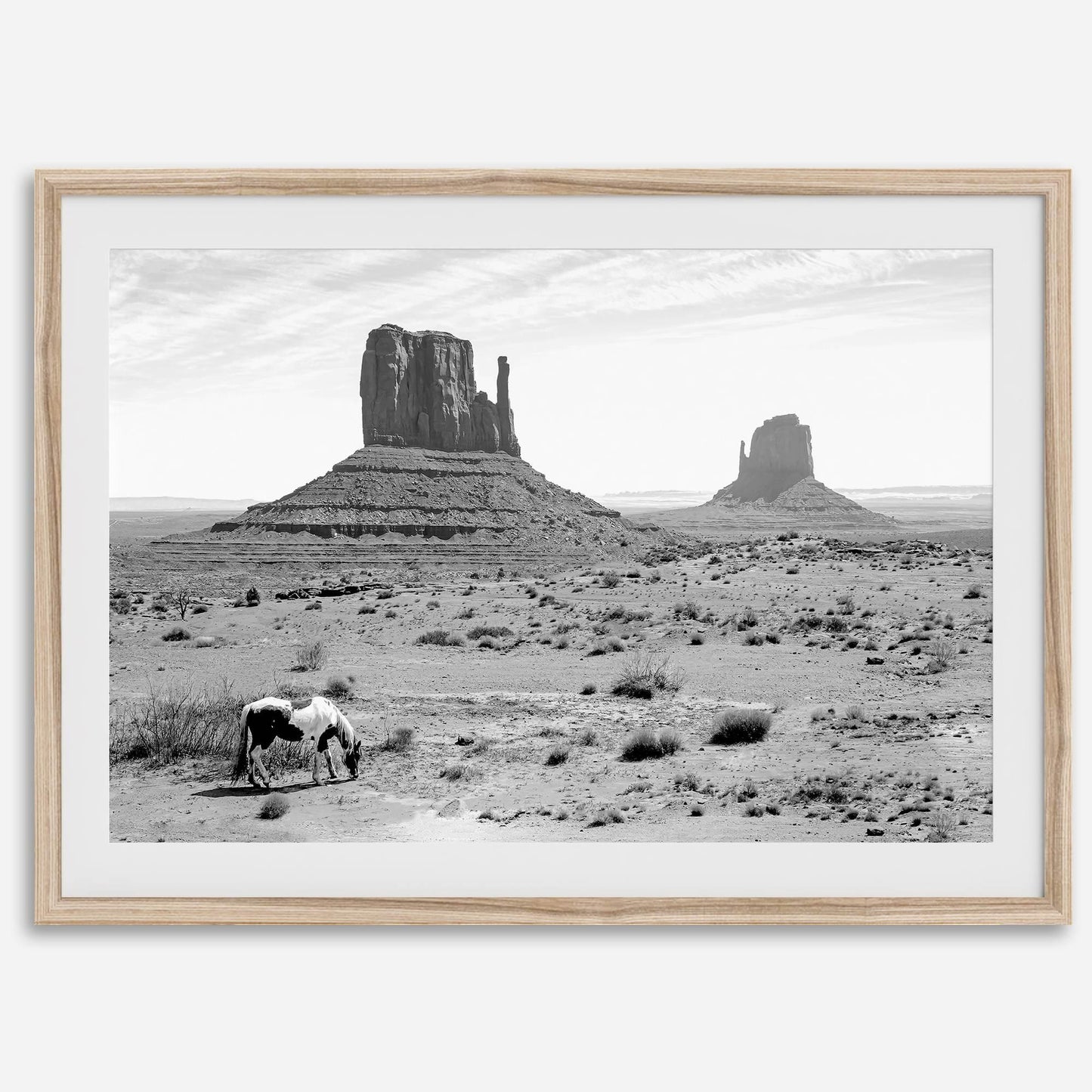 Desert Horse B&W