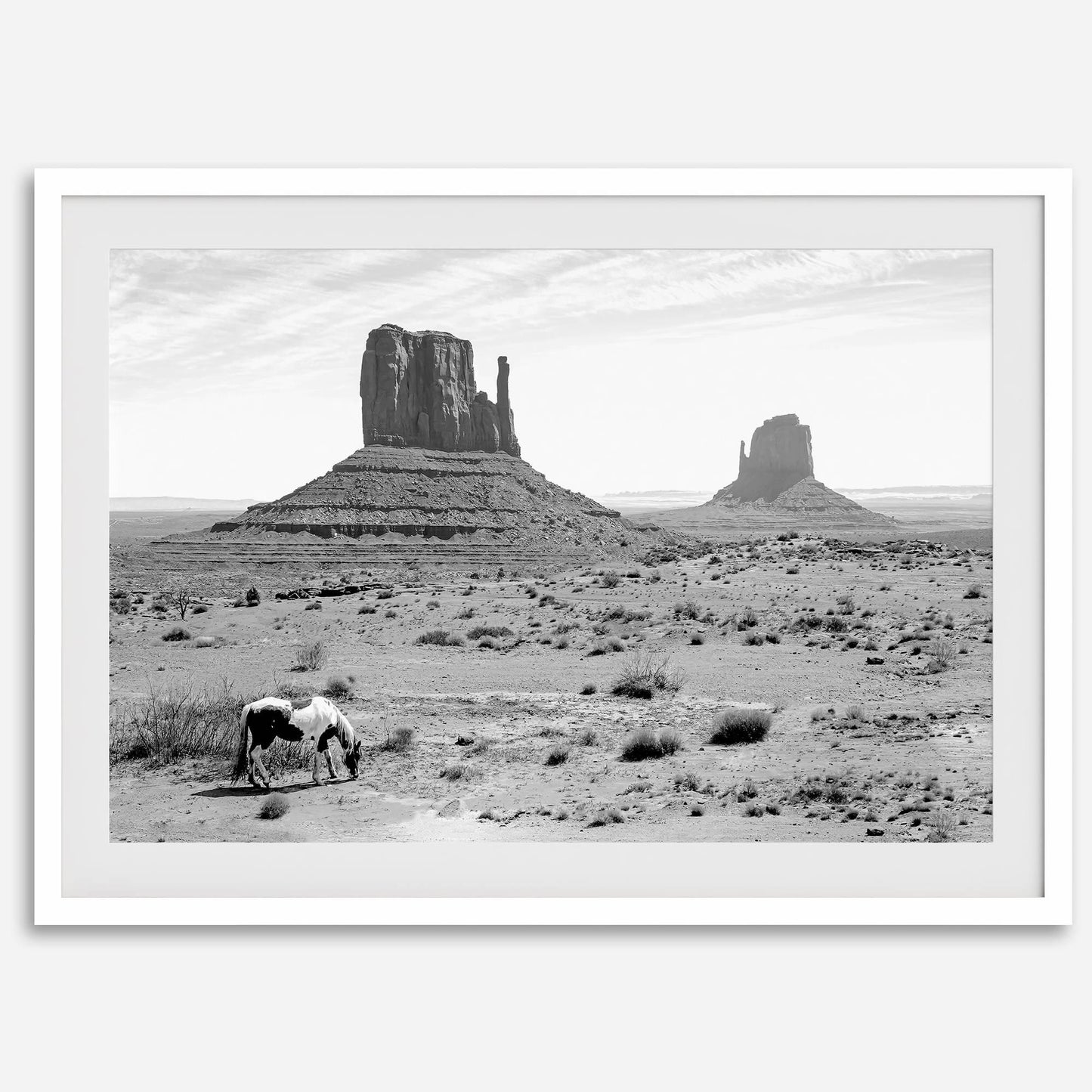 Desert Horse B&W