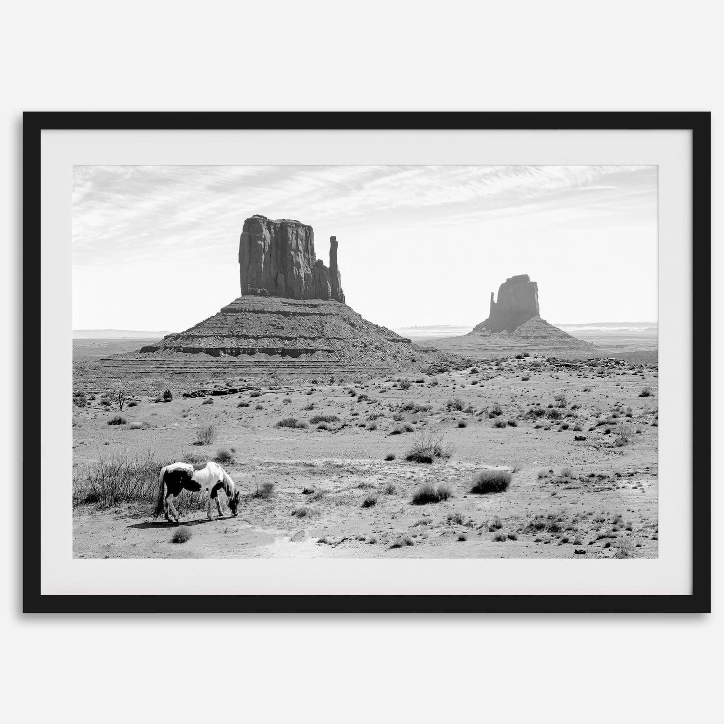 Desert Horse B&W