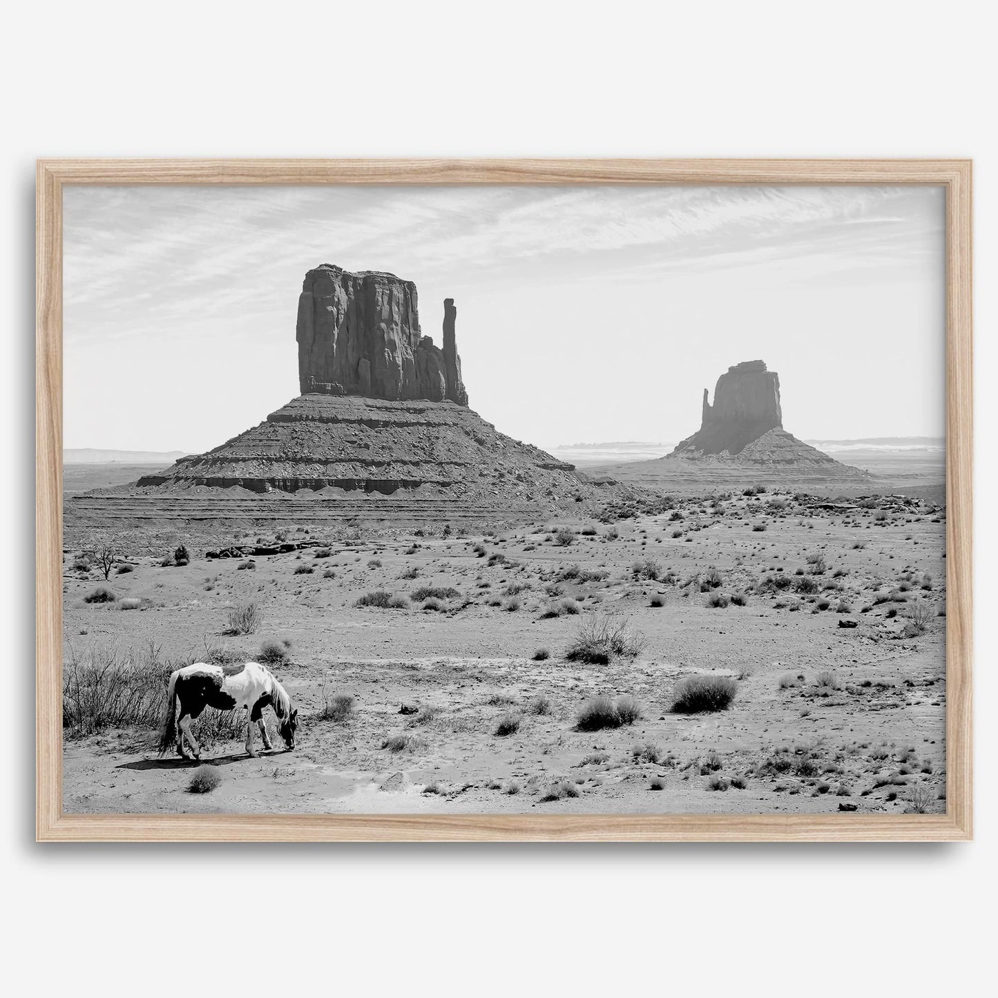 Desert Horse B&W