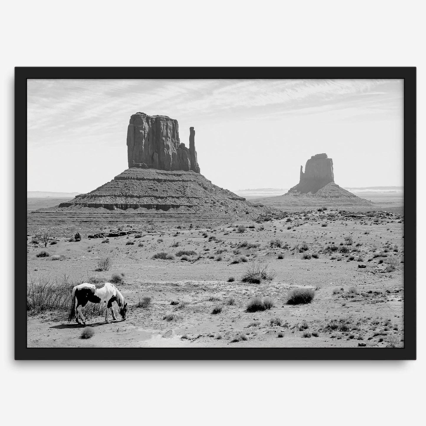 Desert Horse B&W