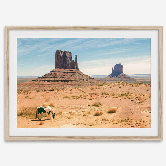 Desert Horse