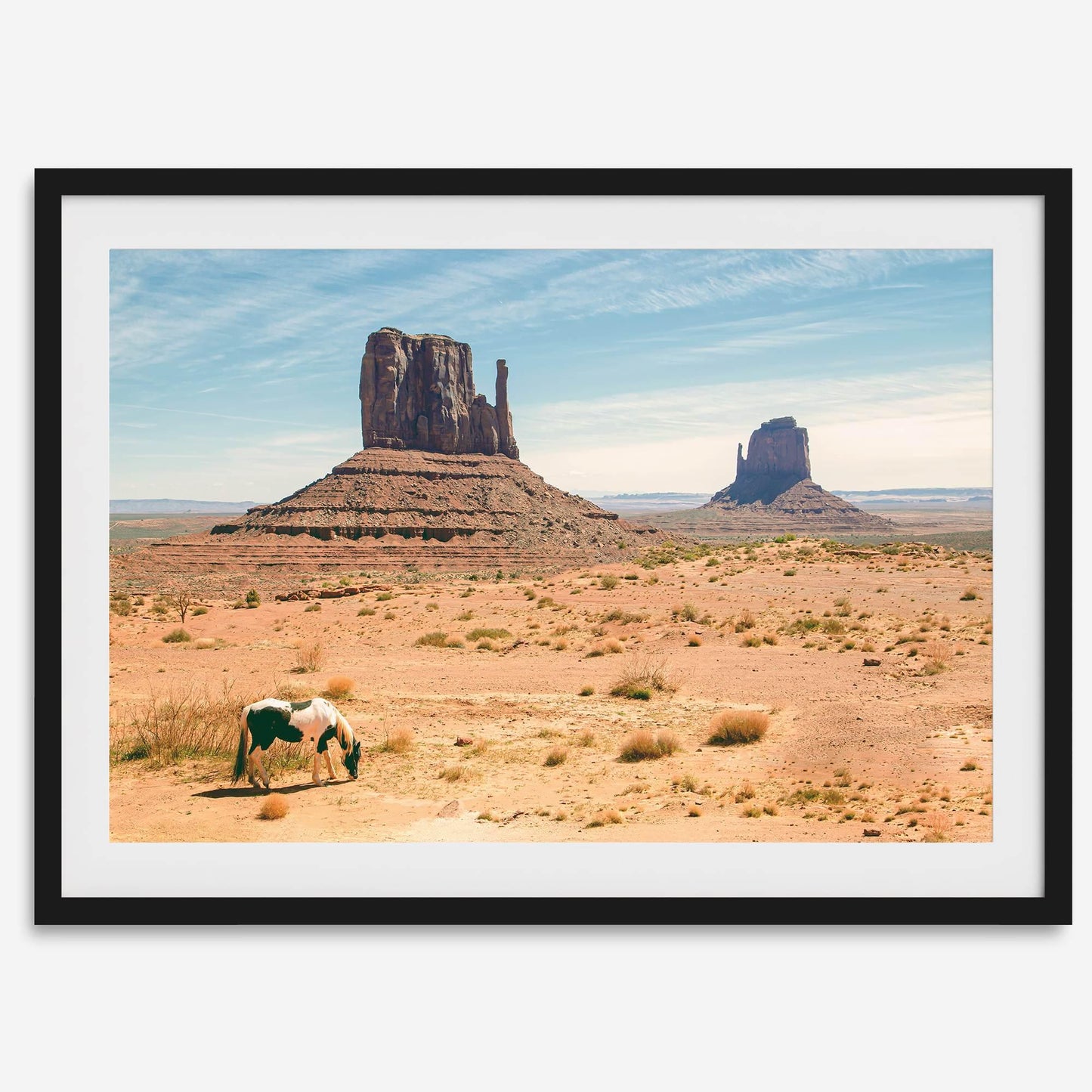 Desert Horse
