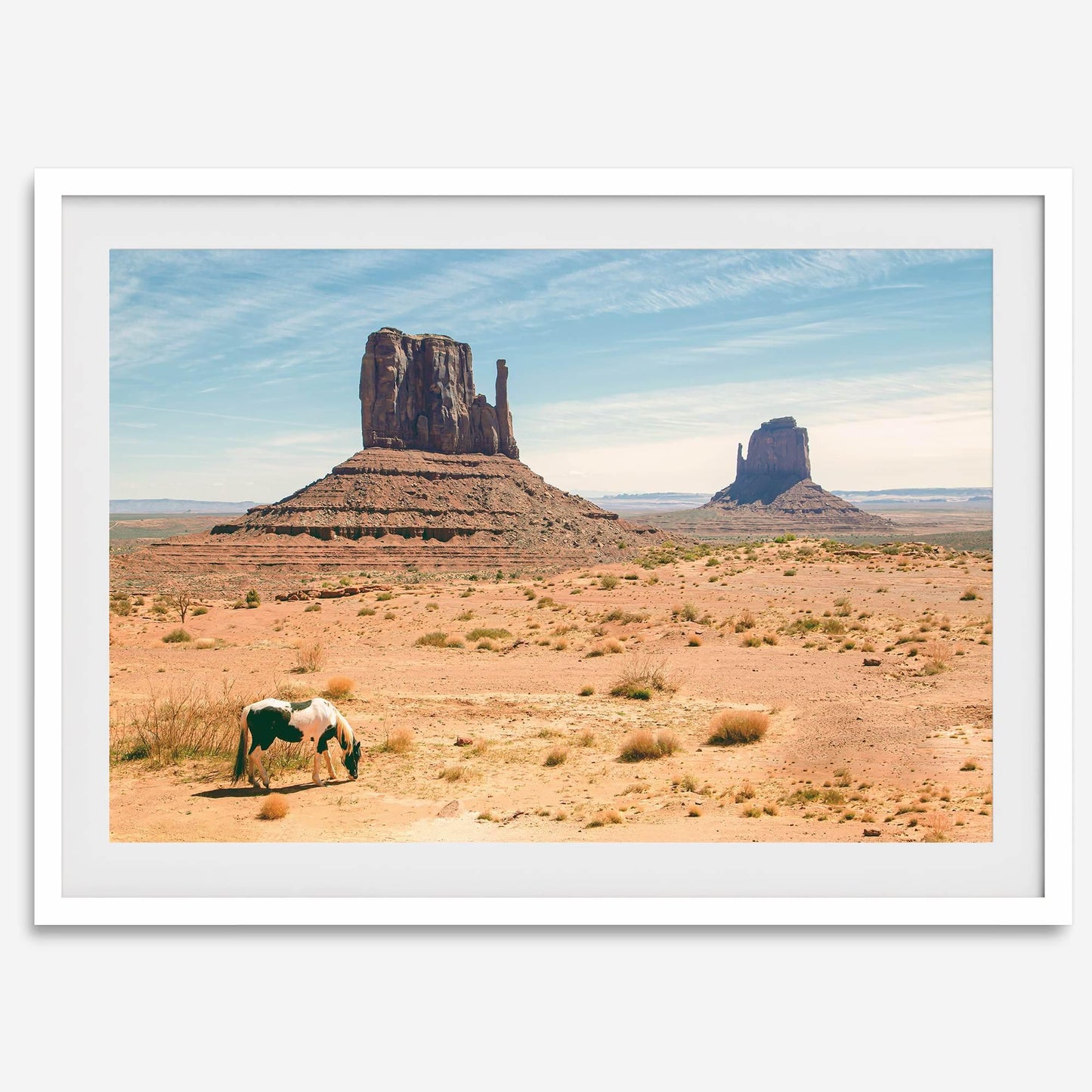 Desert Horse