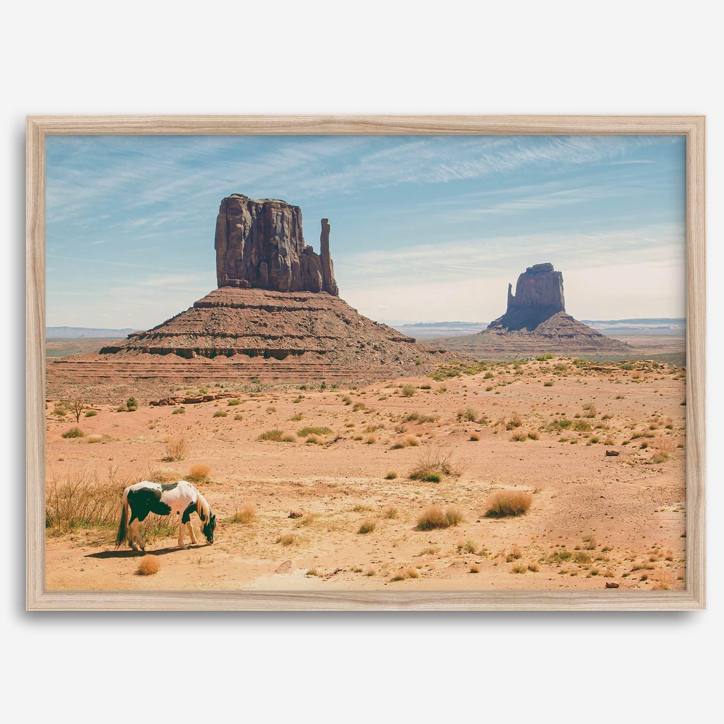 Desert Horse
