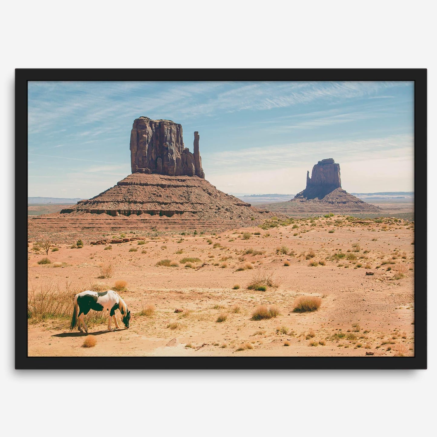 Desert Horse