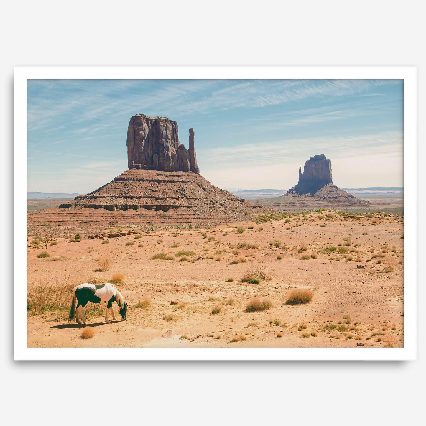 Desert Horse
