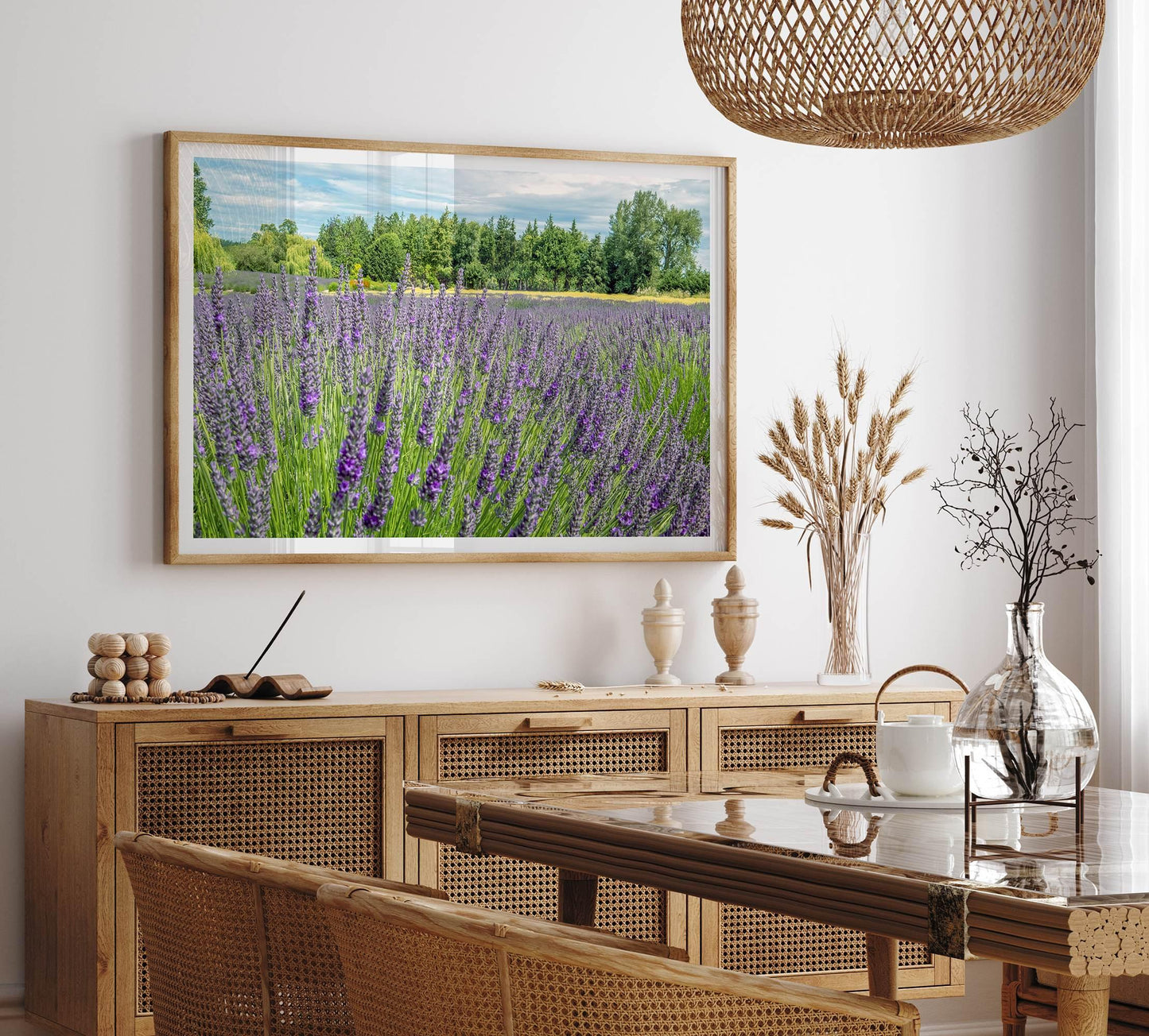 Lavender Fields Forever