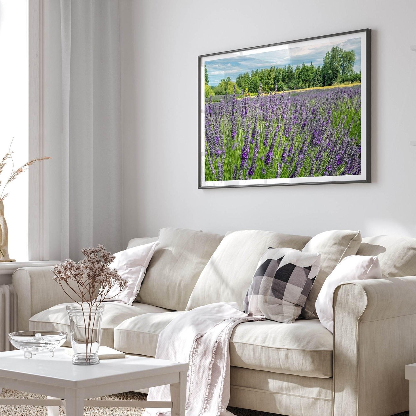 Lavender Fields Forever