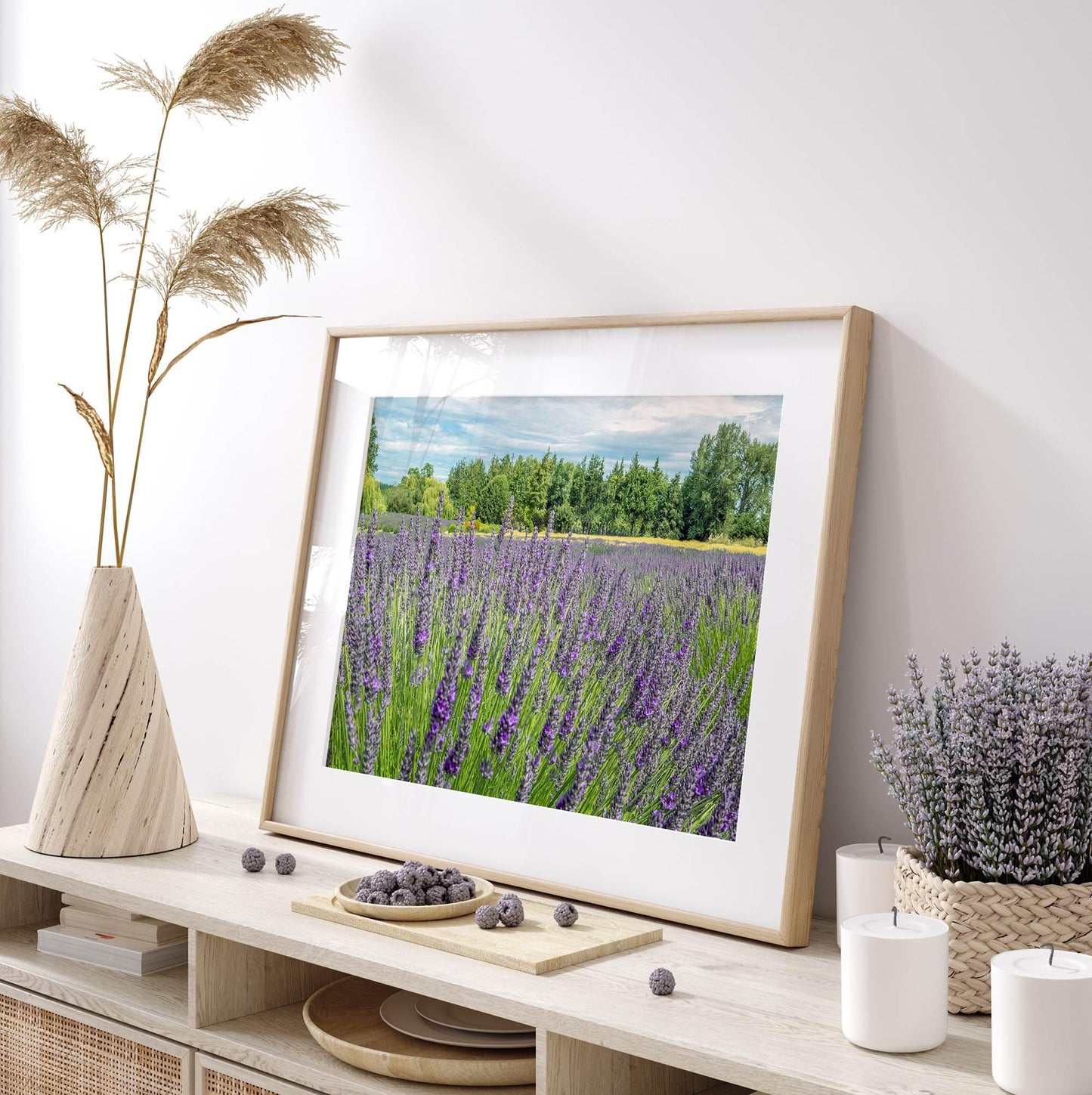 Lavender Fields Forever