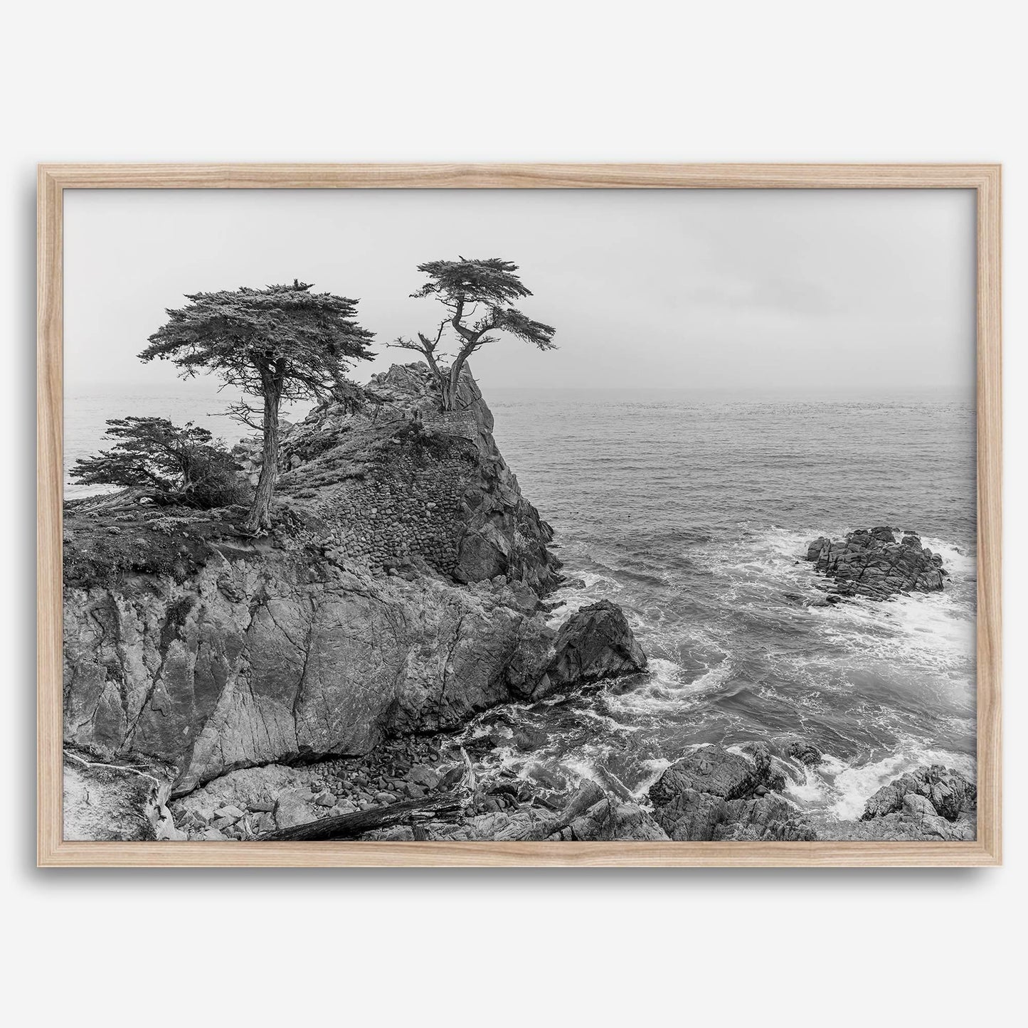 Cypress Cove