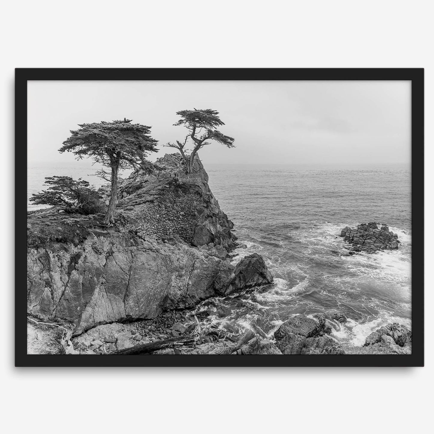 Cypress Cove