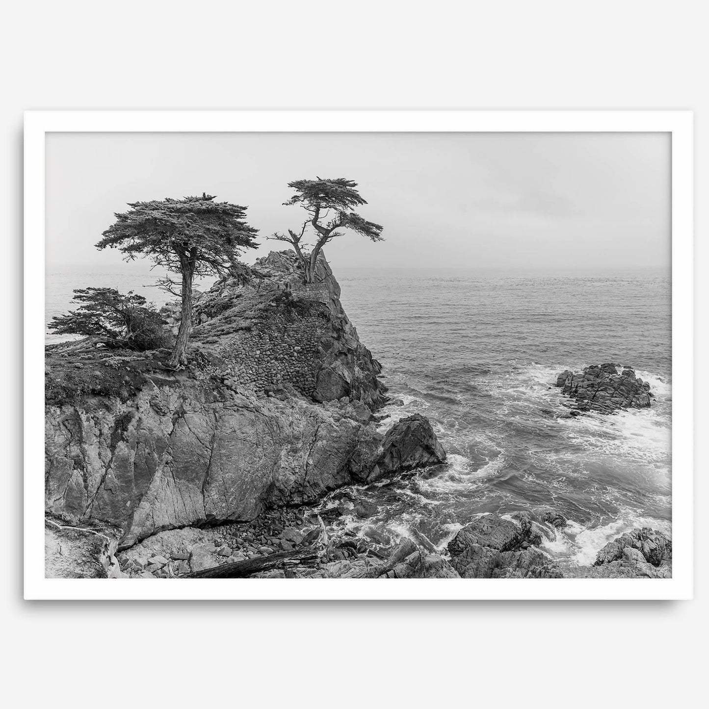 Cypress Cove