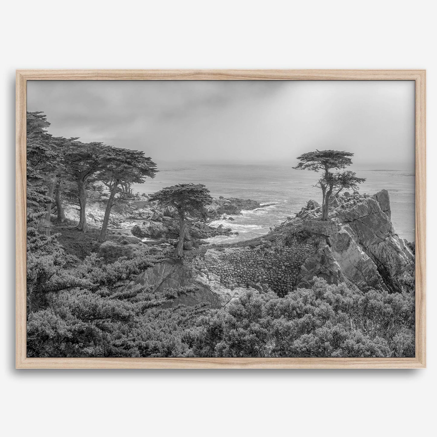 Lone Cypress B&W