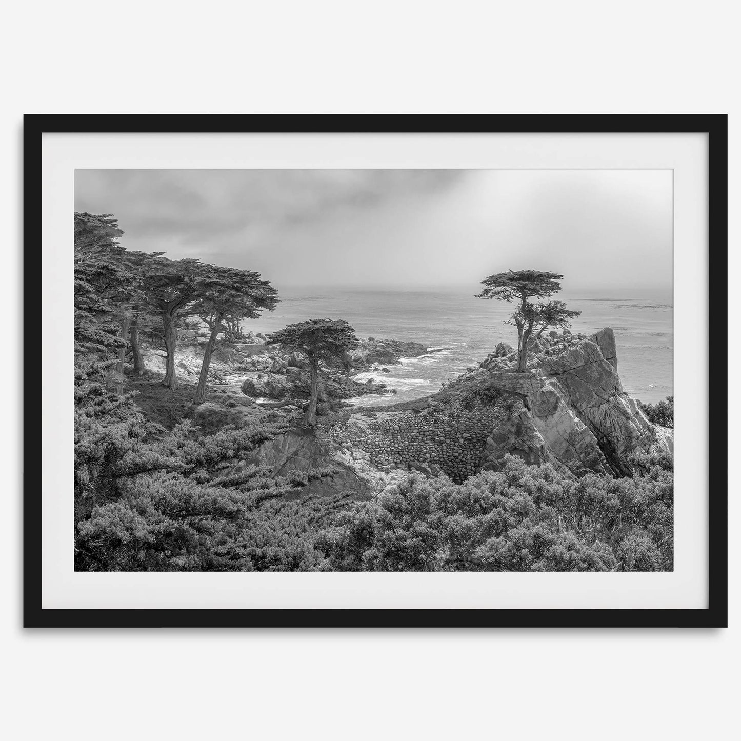 Lone Cypress B&W