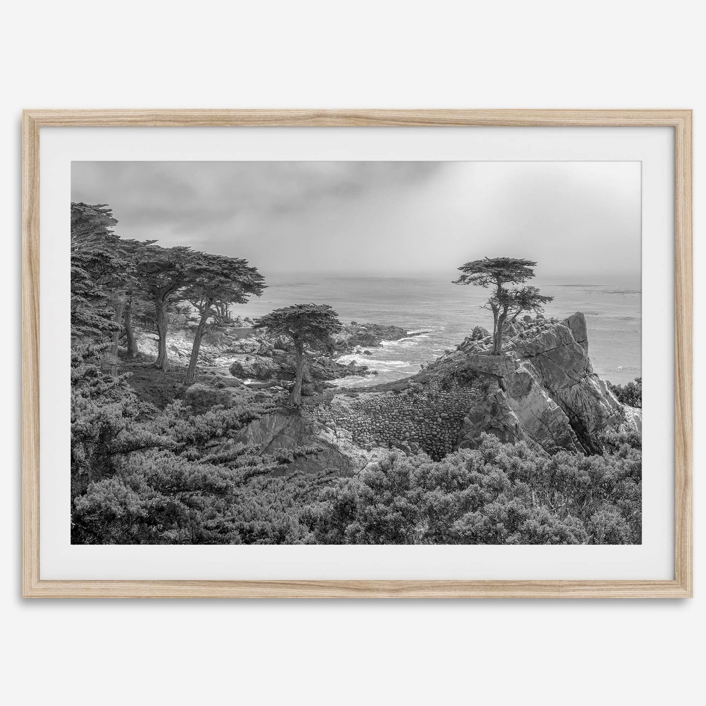 Lone Cypress B&W