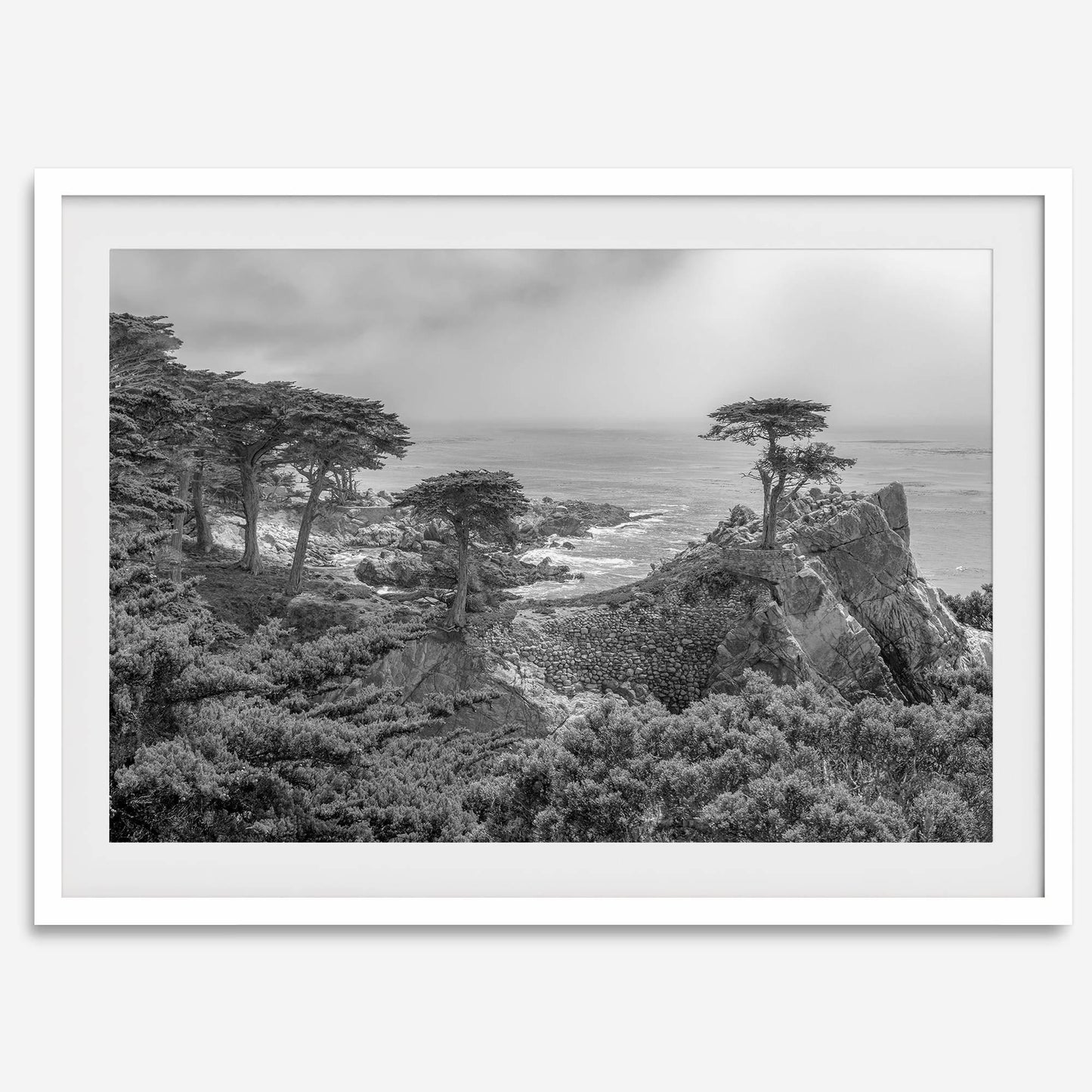 Lone Cypress B&W
