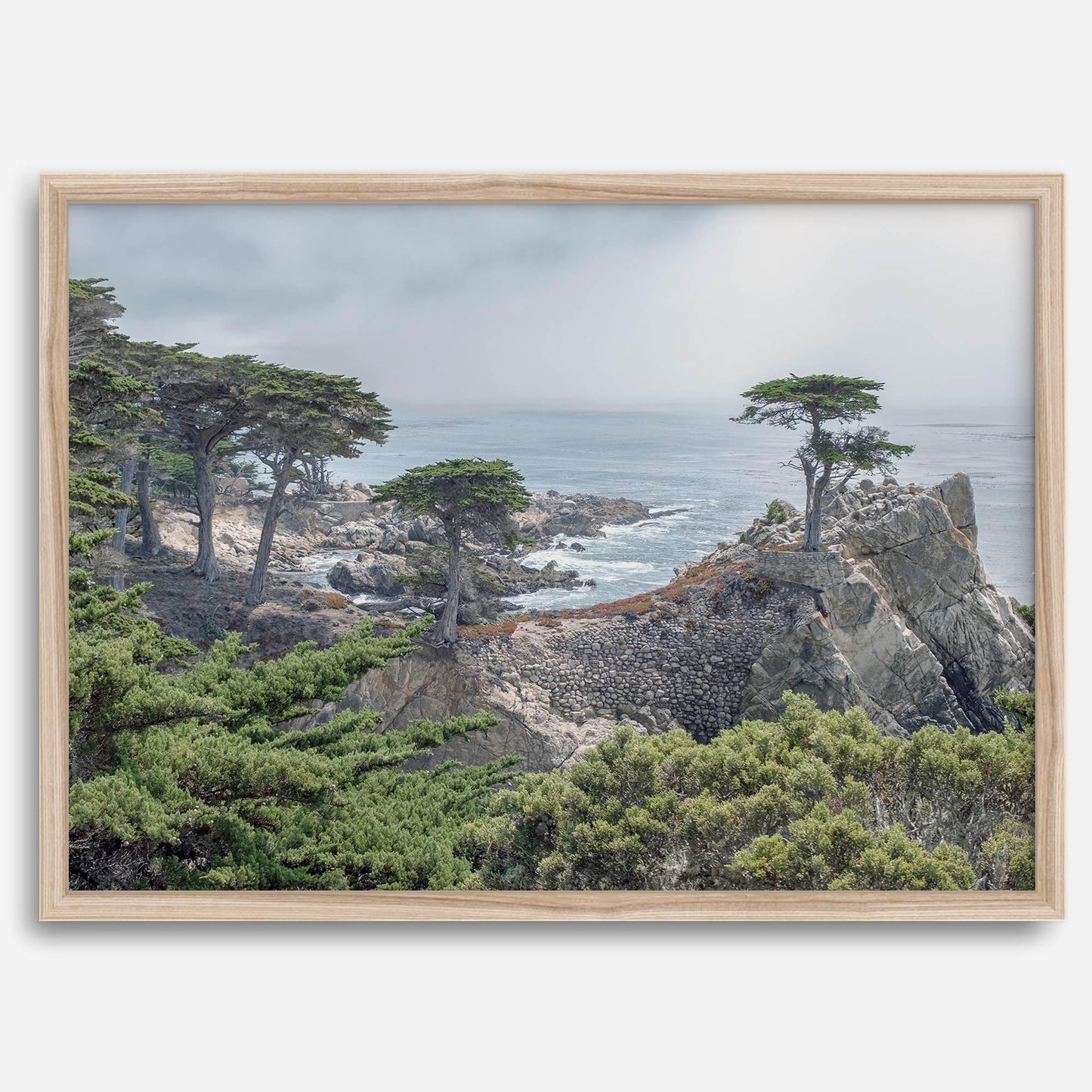 Lone Cypress