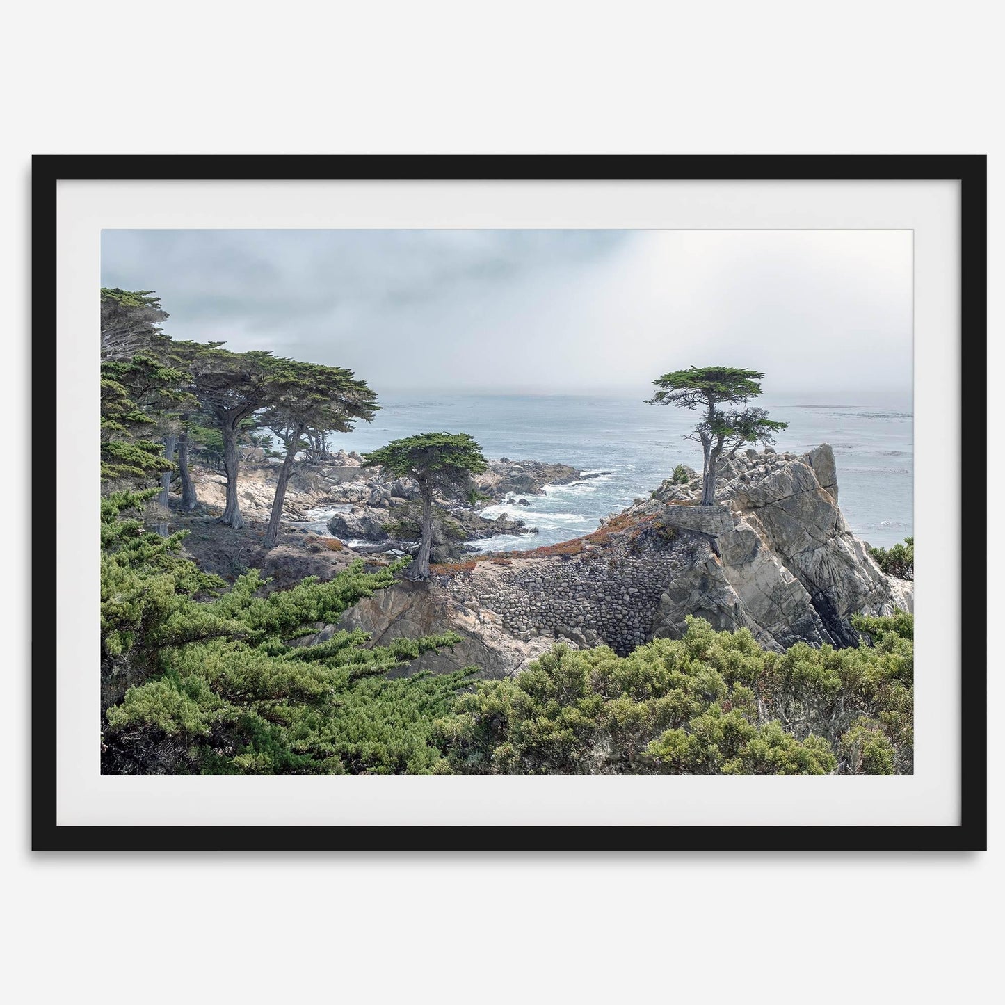 Lone Cypress