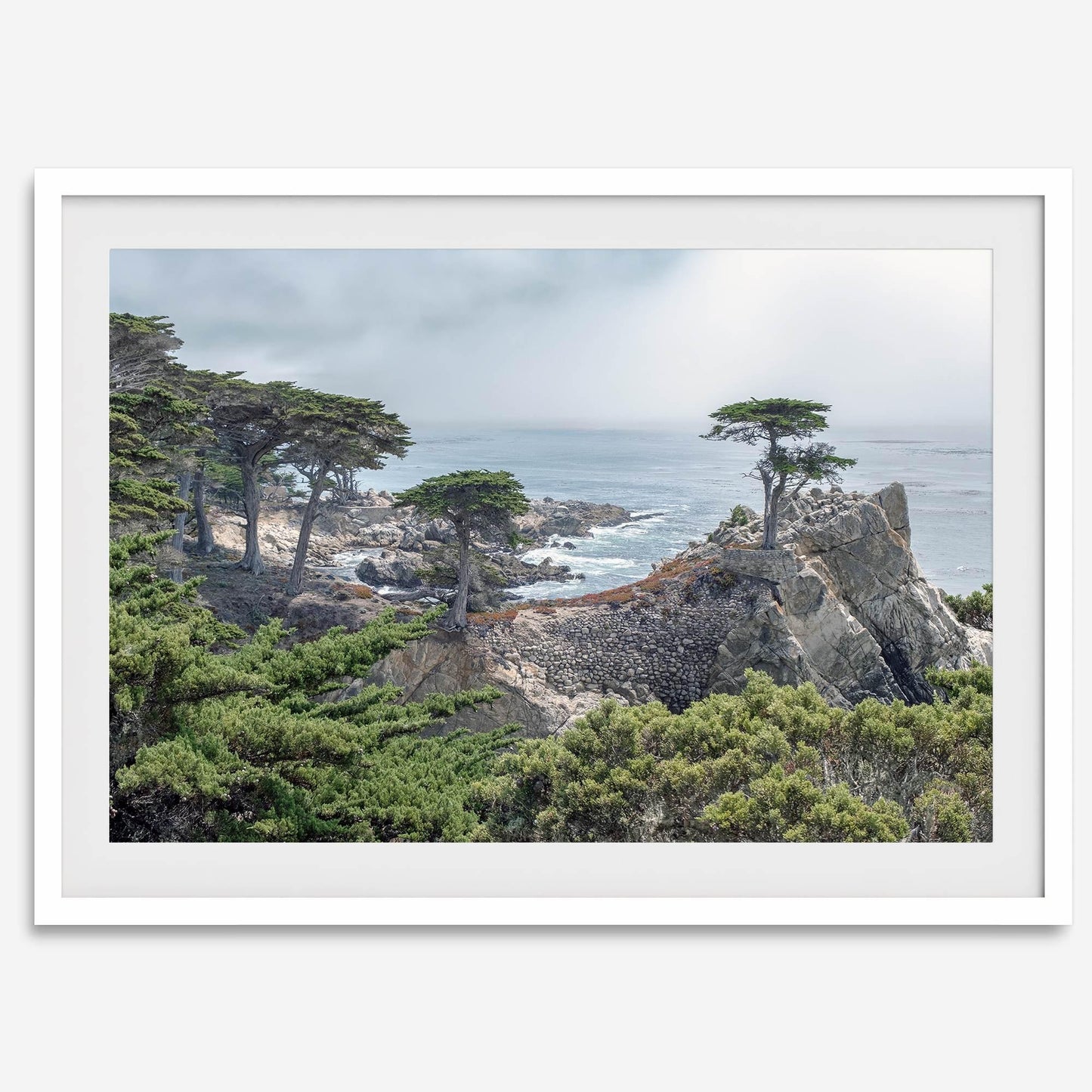 Lone Cypress