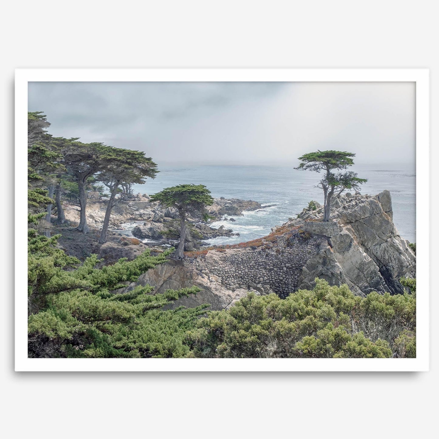 Lone Cypress