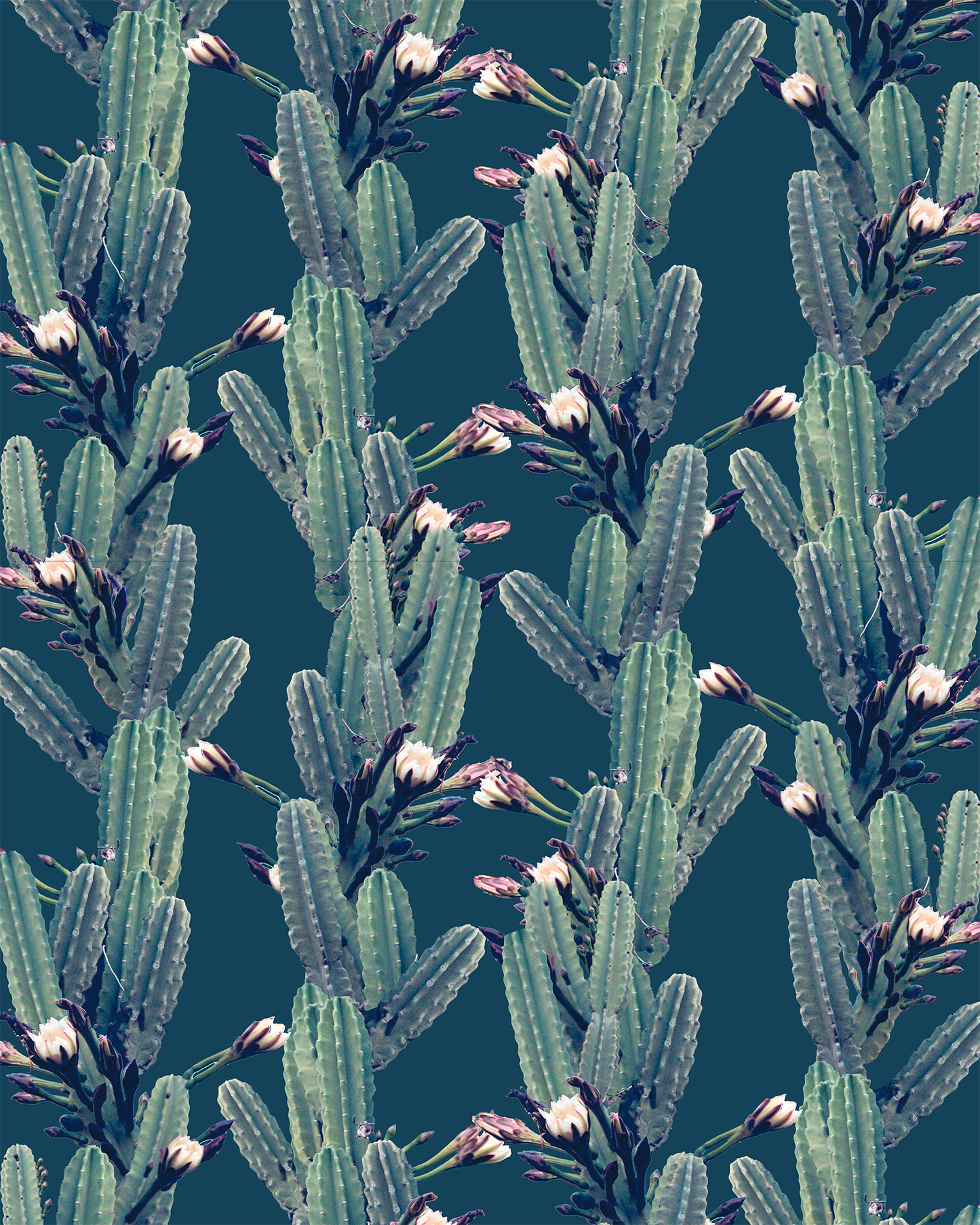 Los Cactus Wallpaper, blue