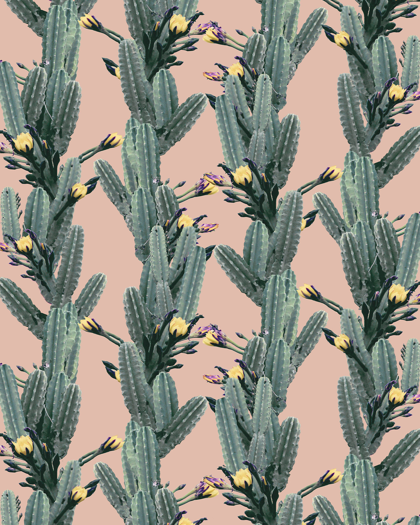 Los Cactus Wallpaper, peach