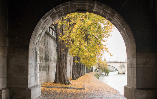 Autumn Stroll on The Seine