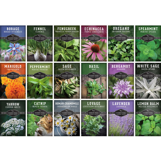 Medicinal Herb Seeds Collection – 18 Heirloom Non-GMO Herbs for Wellness, Tea & Home Apothecary Gardens (Lavender, Chamomile, Echinacea, Peppermint, Sage & More)