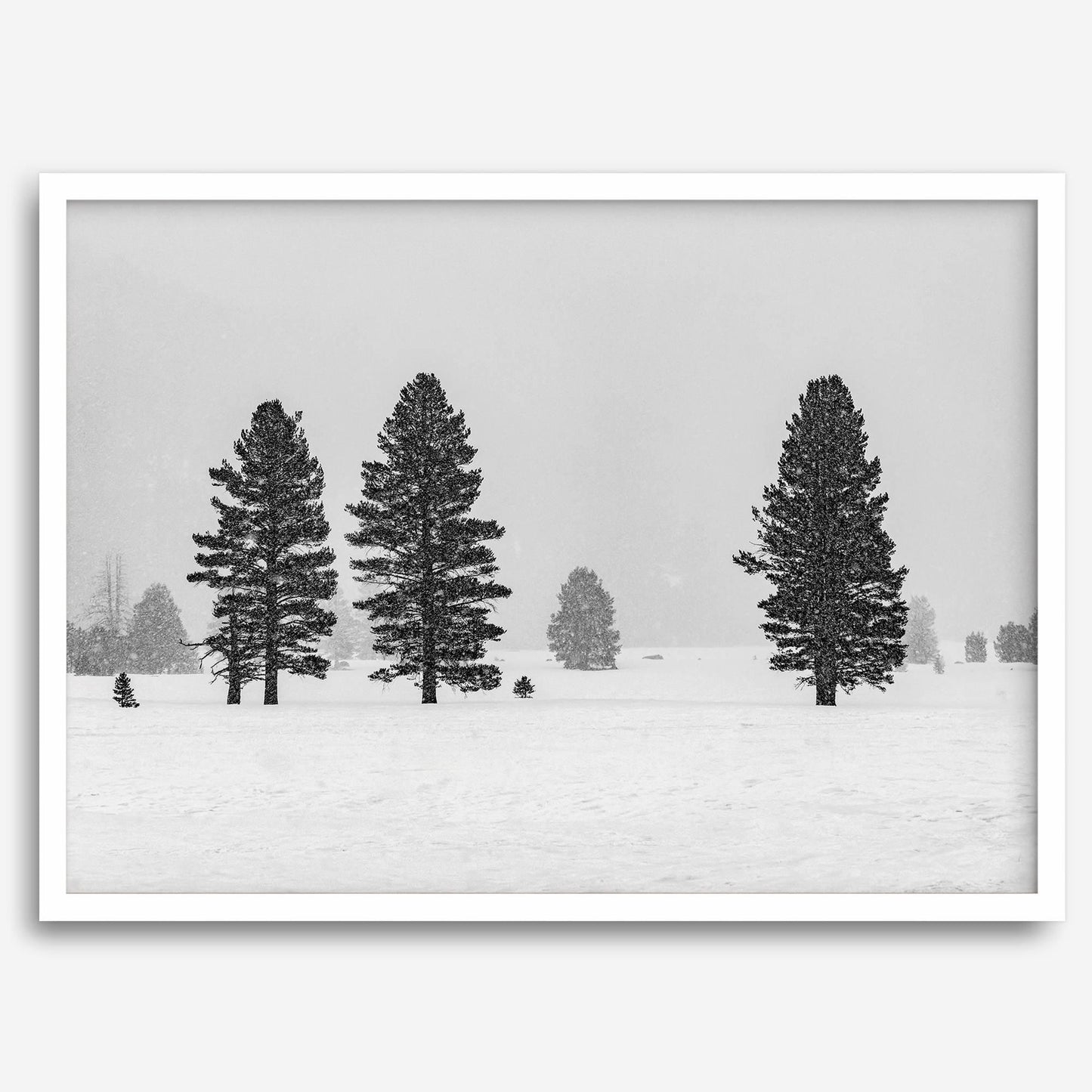 Frozen Kingdom