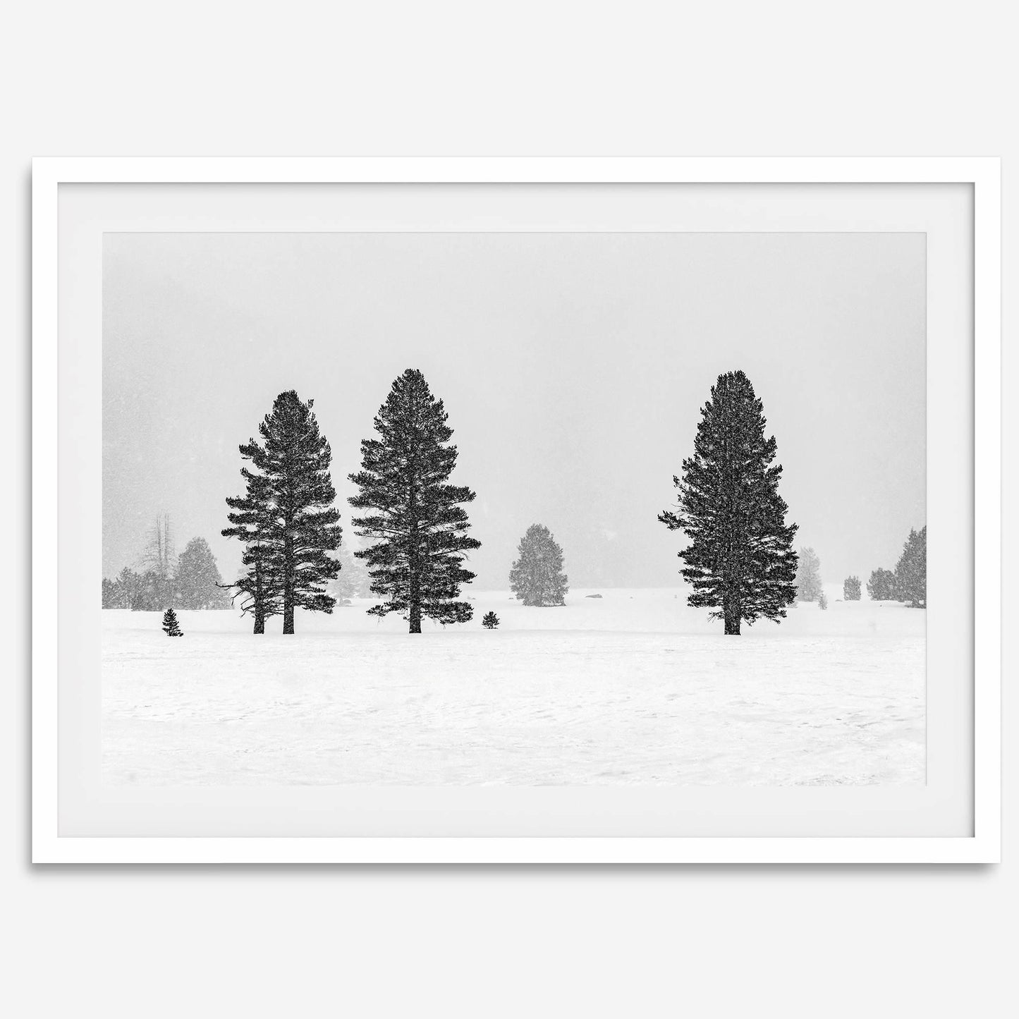 Frozen Kingdom