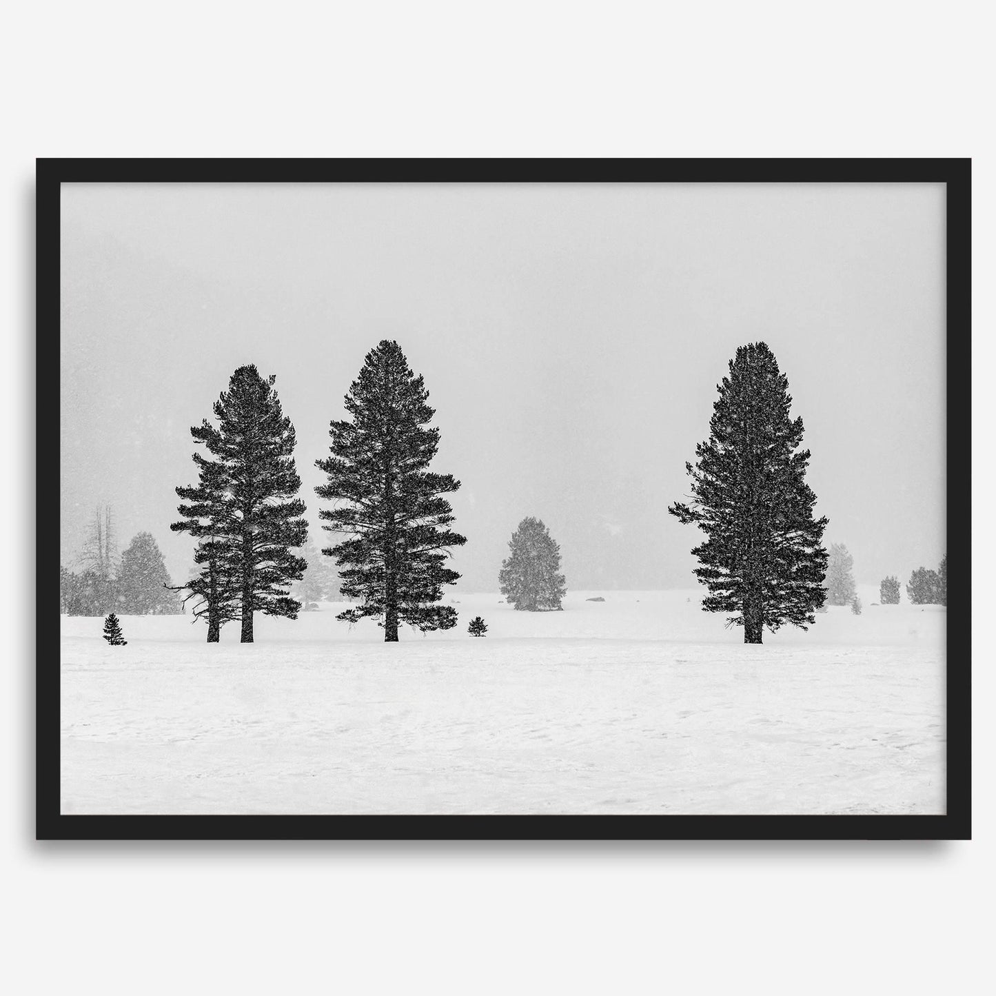 Frozen Kingdom