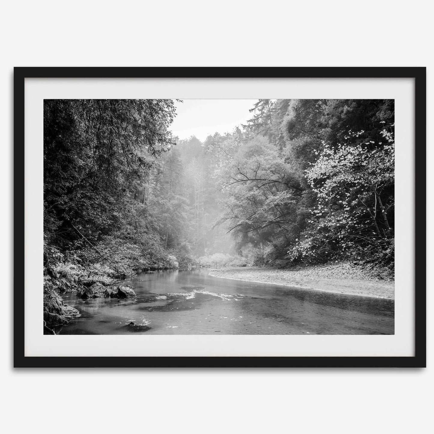 Misty River