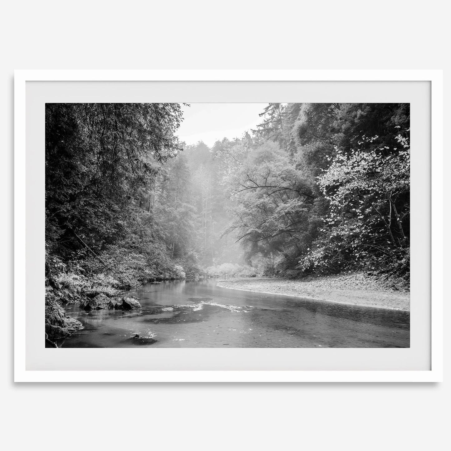 Misty River