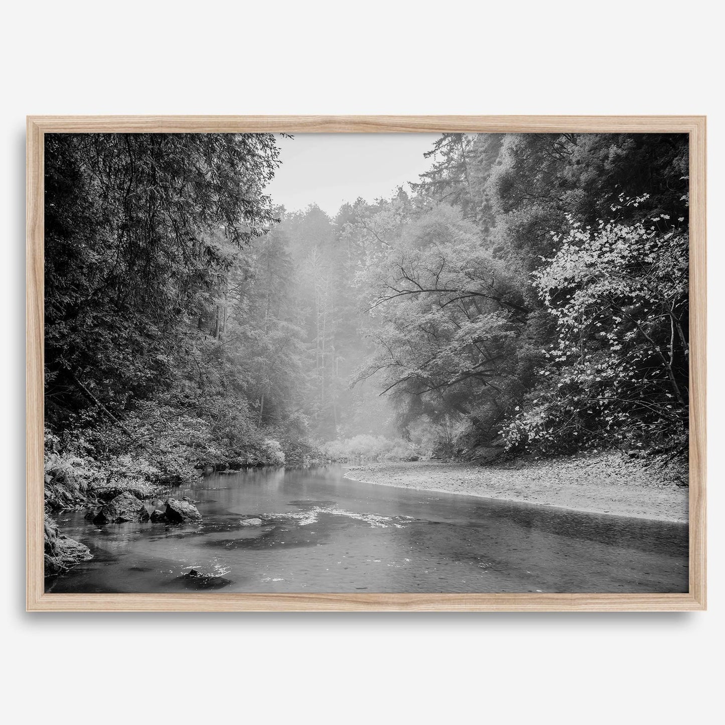 Misty River