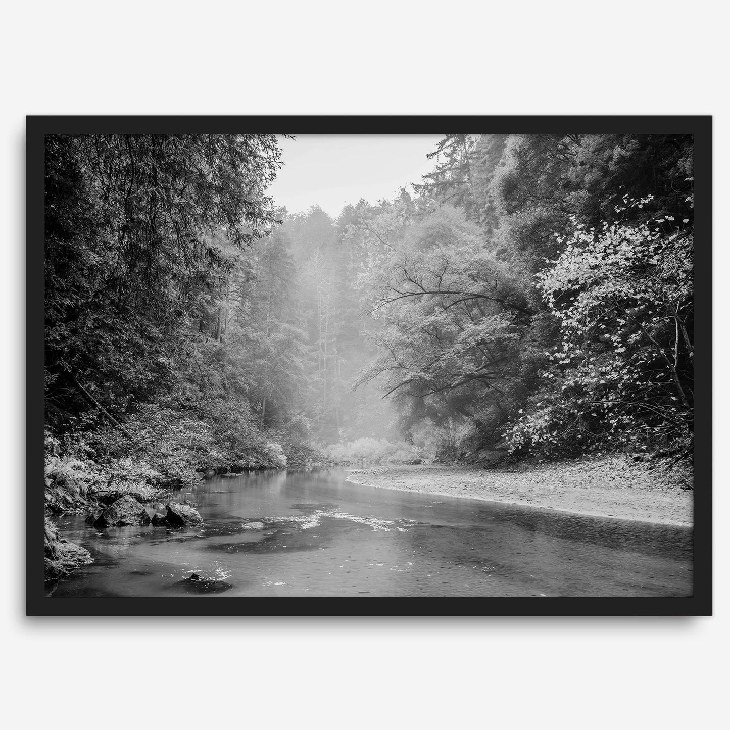 Misty River