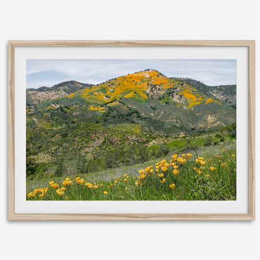 Golden Peak