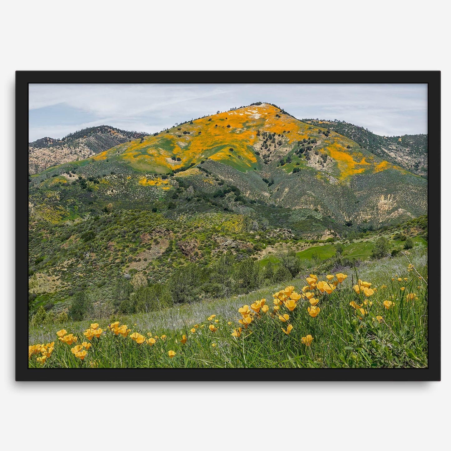 Golden Peak