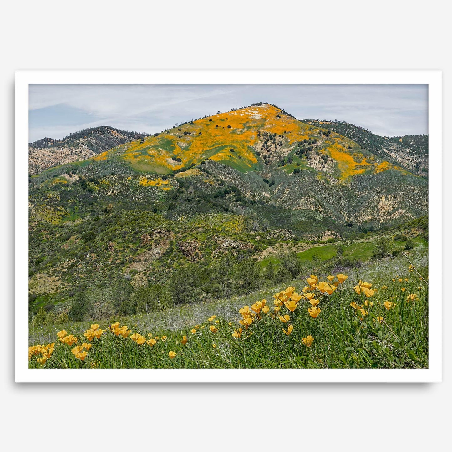 Golden Peak