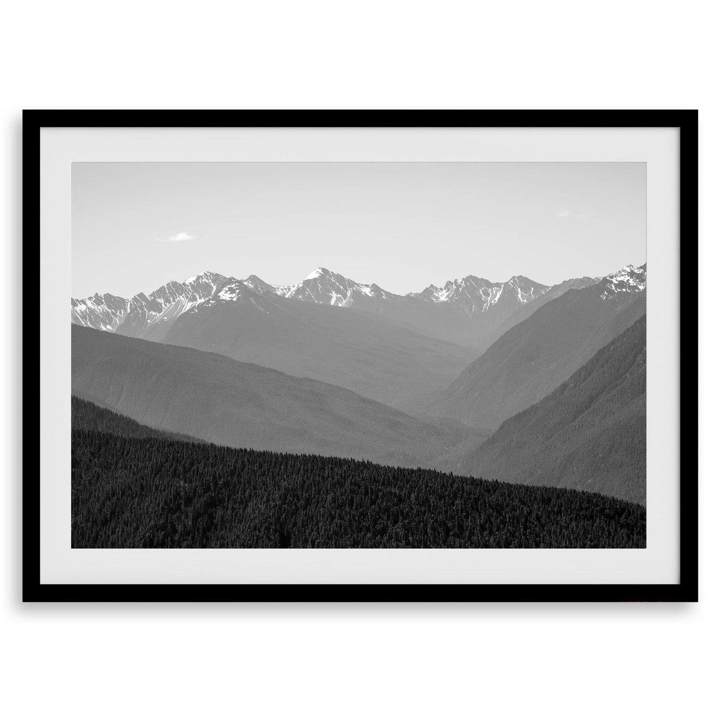 Shady Mountains