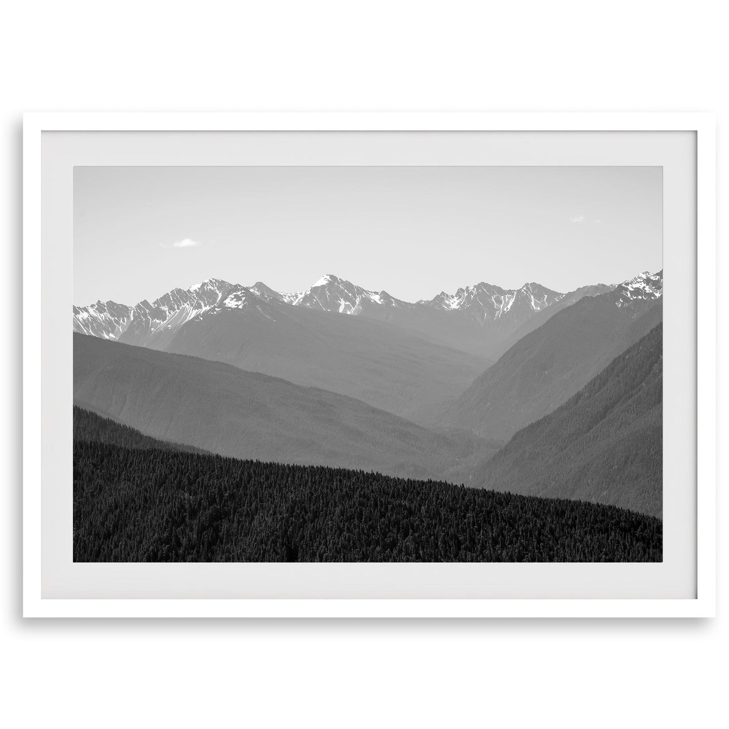 Shady Mountains