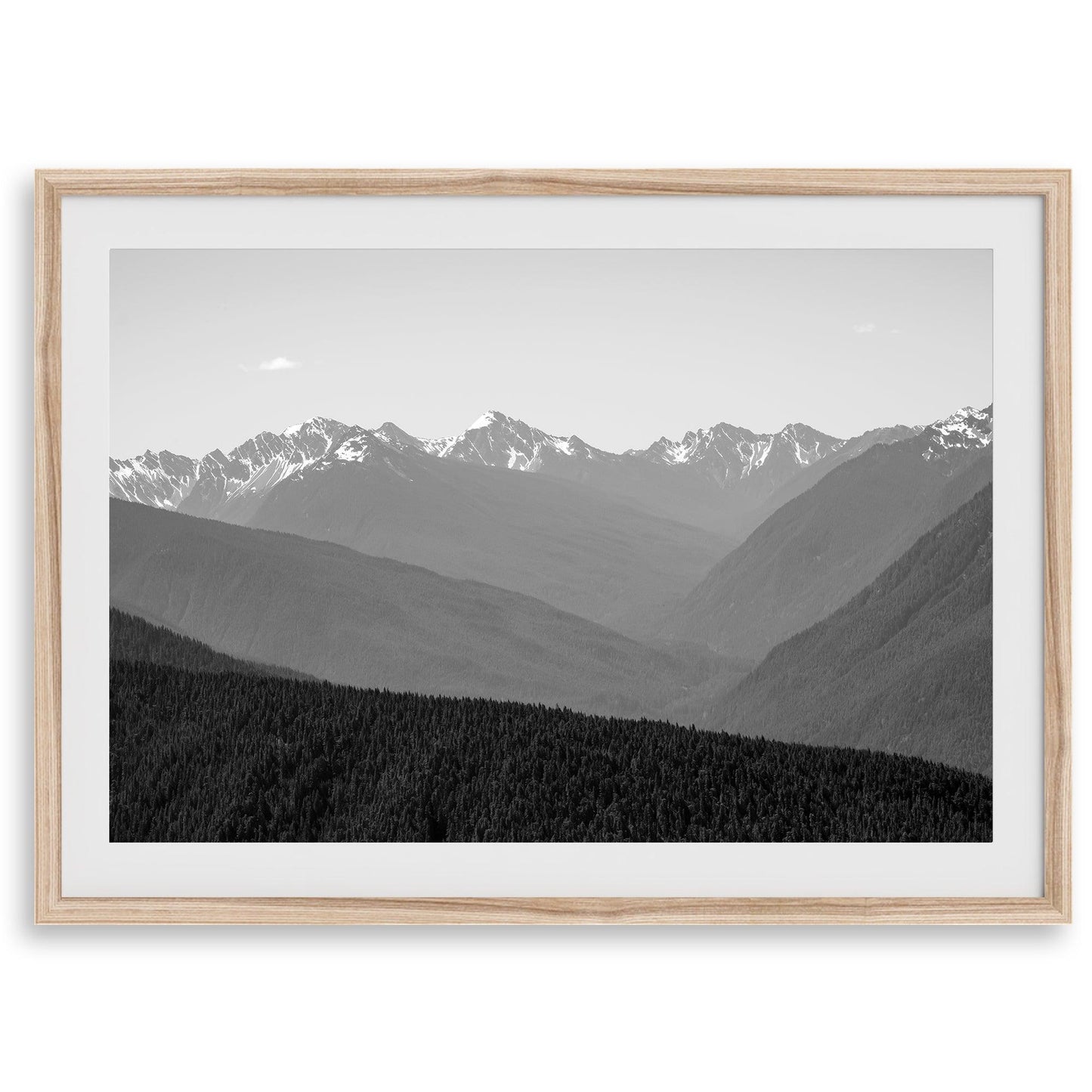 Shady Mountains