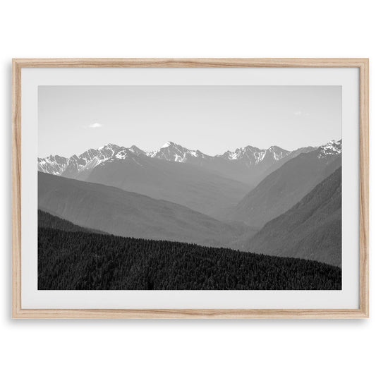 Shady Mountains